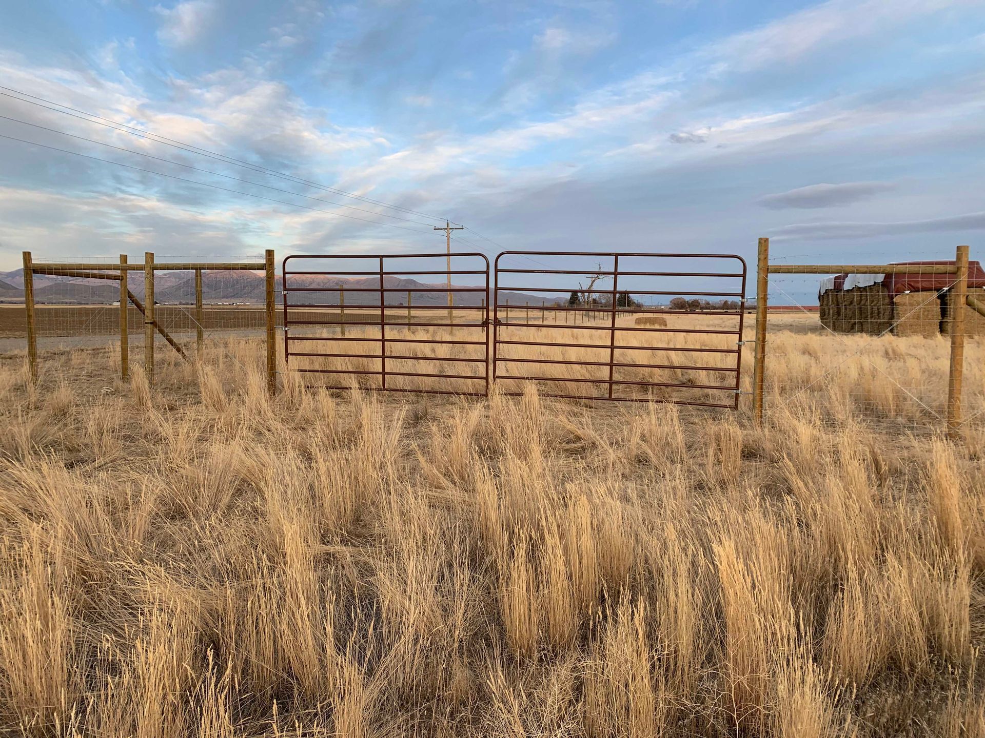 Metal gate in a field of dry grass, under a cloudy sky. A flock of birds flies above.