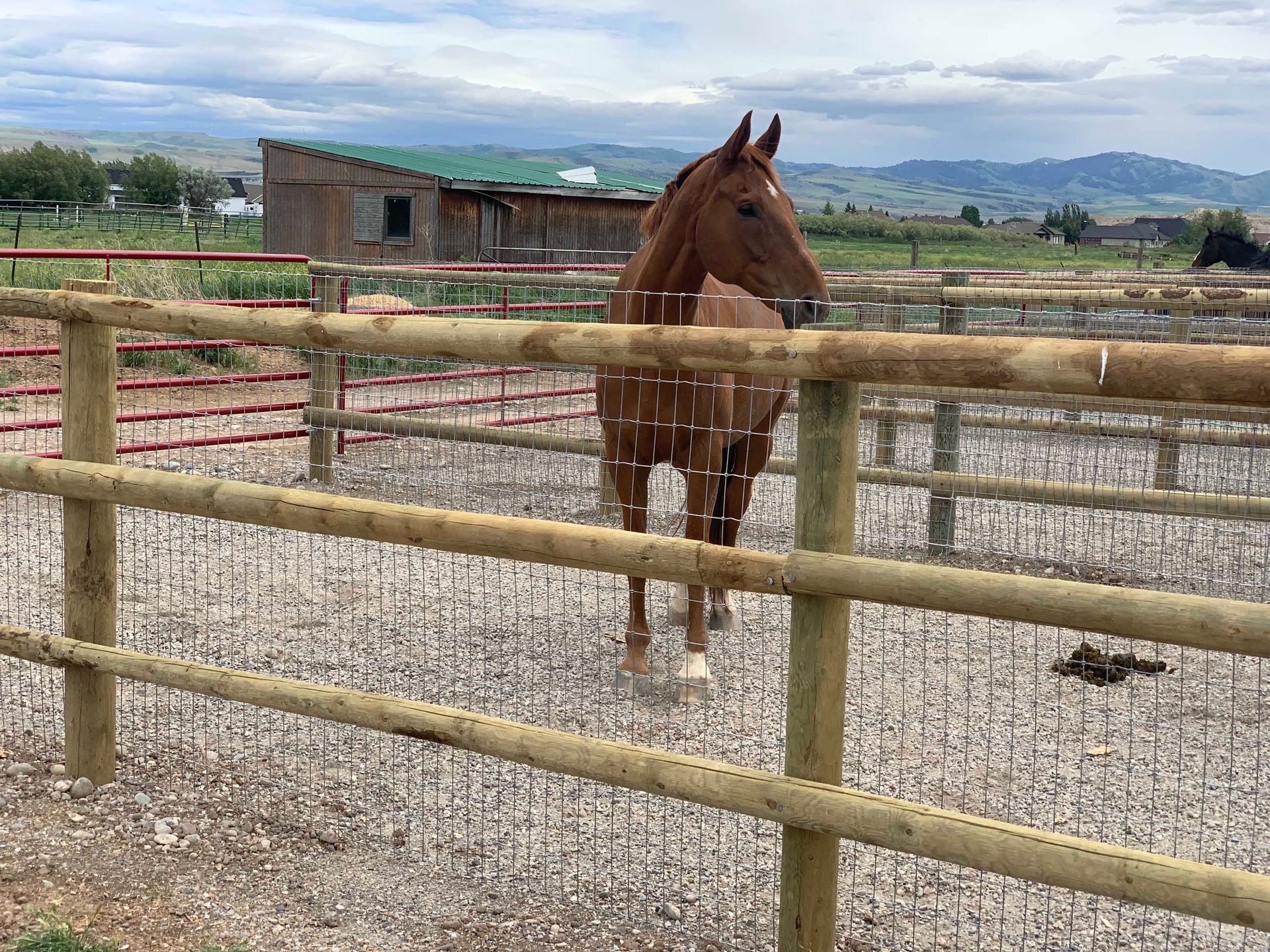 A brown horse stands in a fenced pen with a wooden fence, with mountains and a barn in the background.