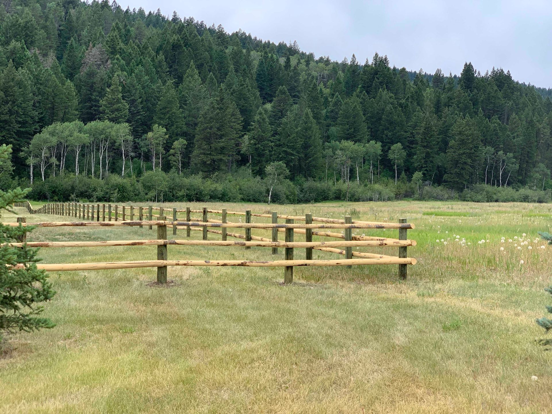 Wooden fence in a grassy field, with a forest and a mountain in the background.