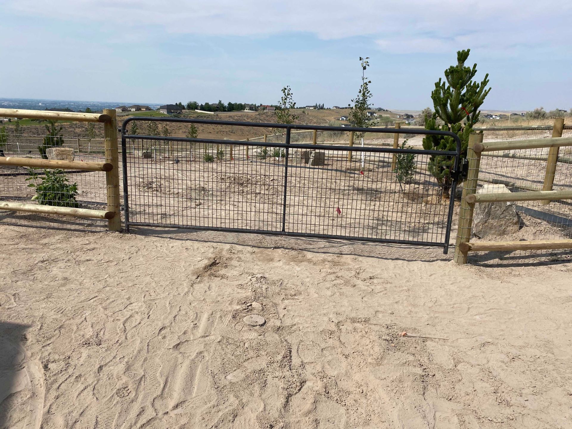 Metal gate in a wooden fence on a sandy path, with a field of small plants and a hazy sky.