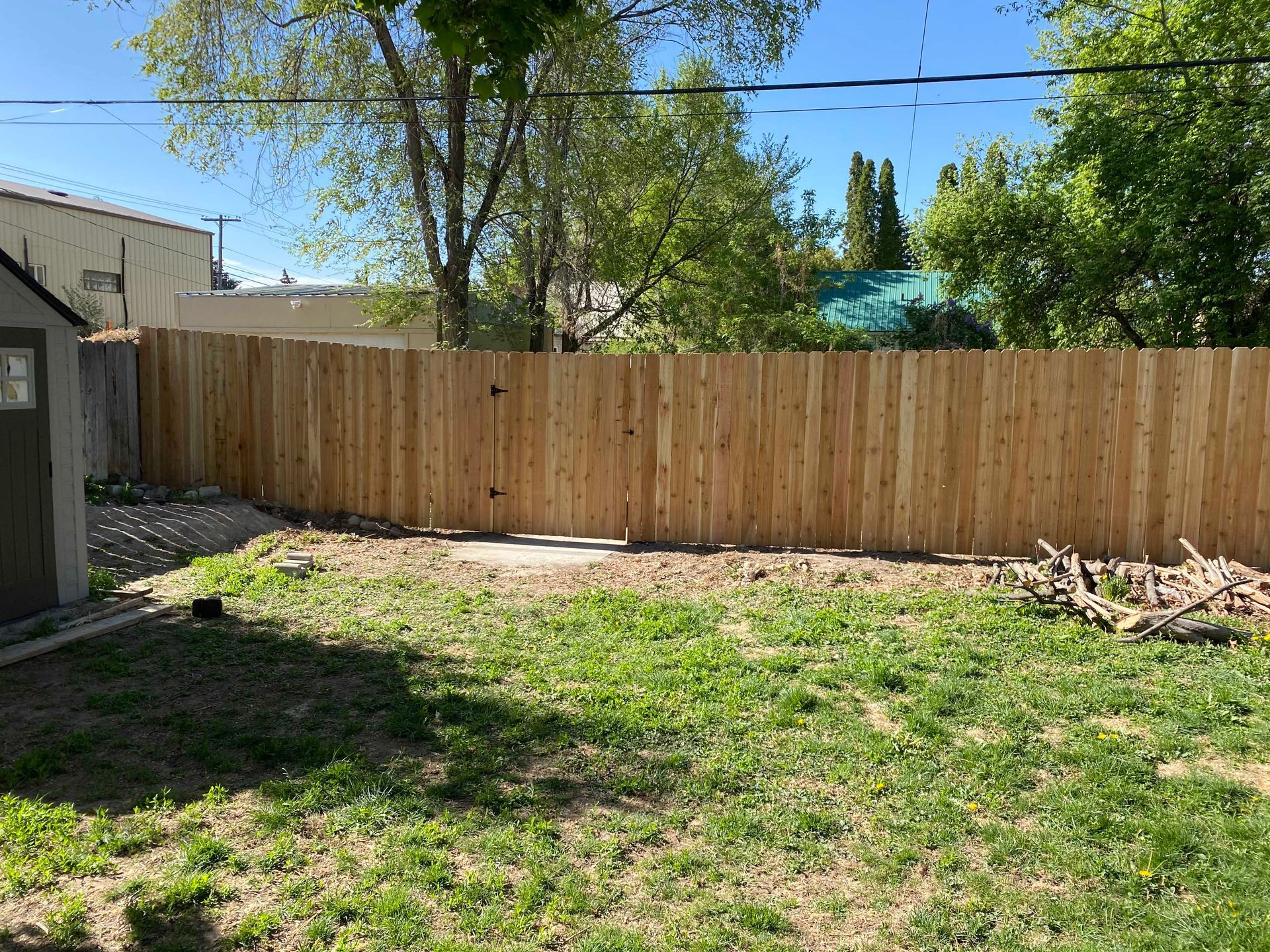 Wooden fence in a backyard with patchy grass, small shed on the left, and a pile of wood on the right.