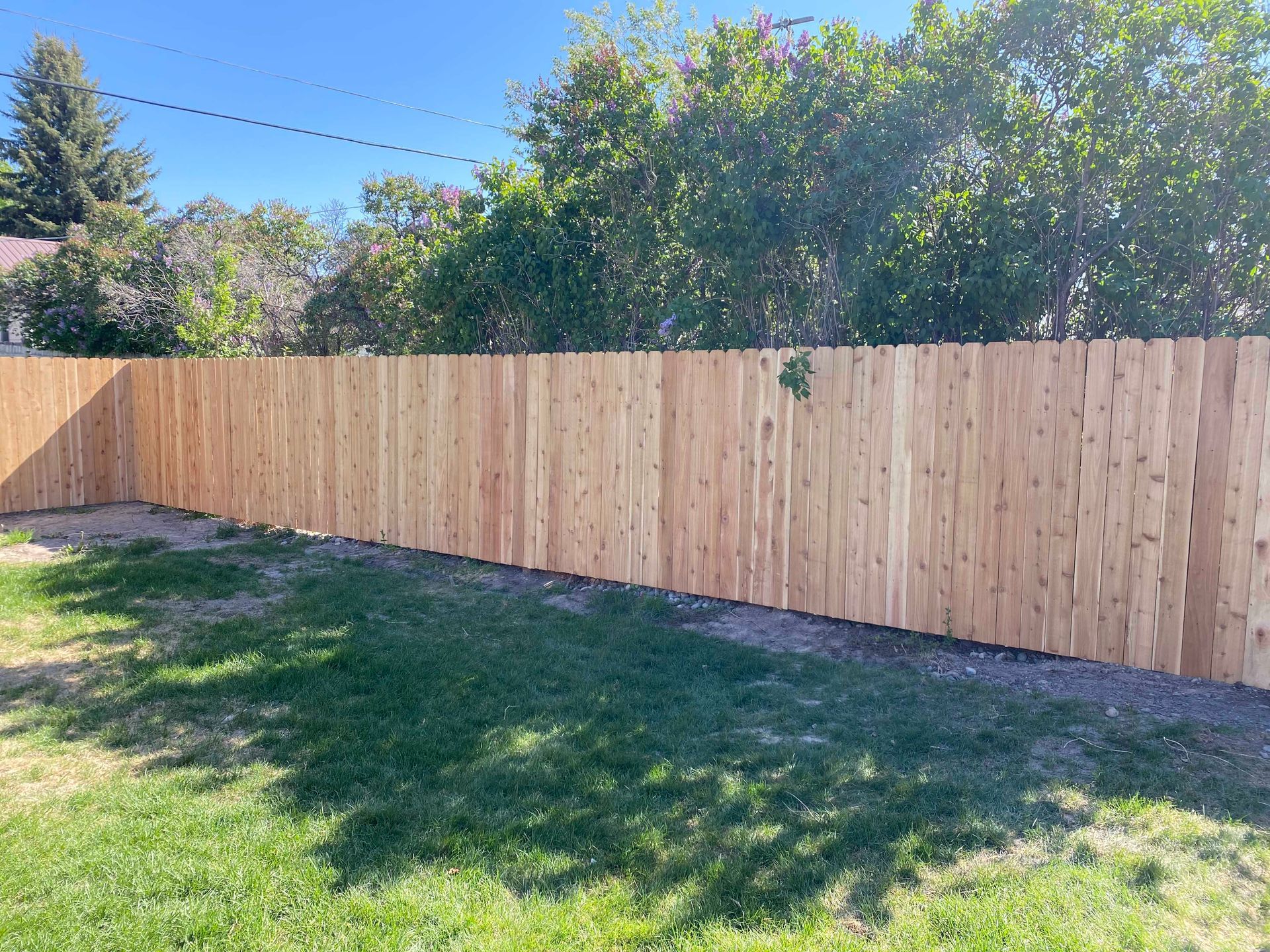 Wooden privacy fence in backyard with grass and trees in background.
