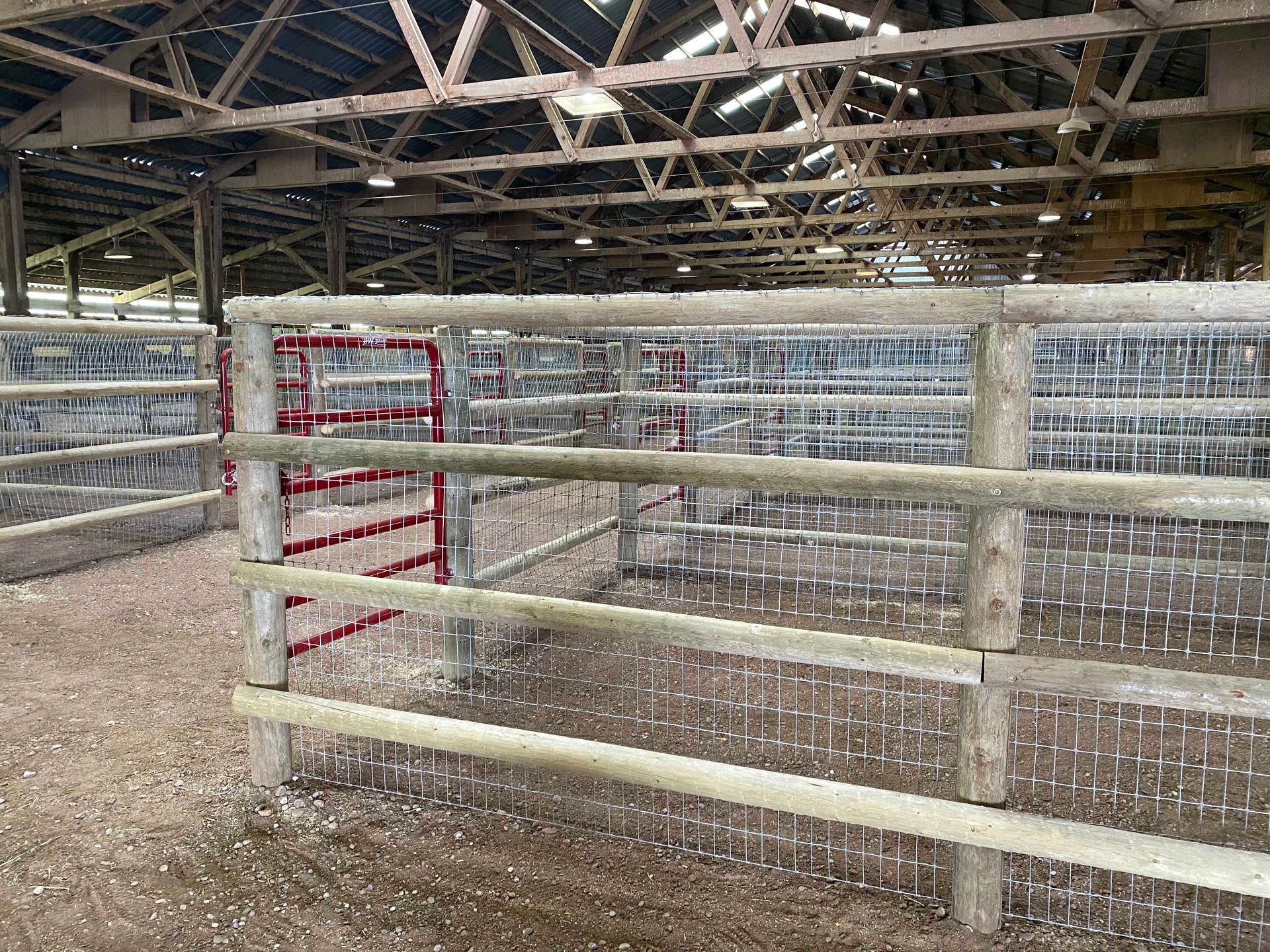Indoor livestock pens with wooden and wire fencing, under a sloped roof.