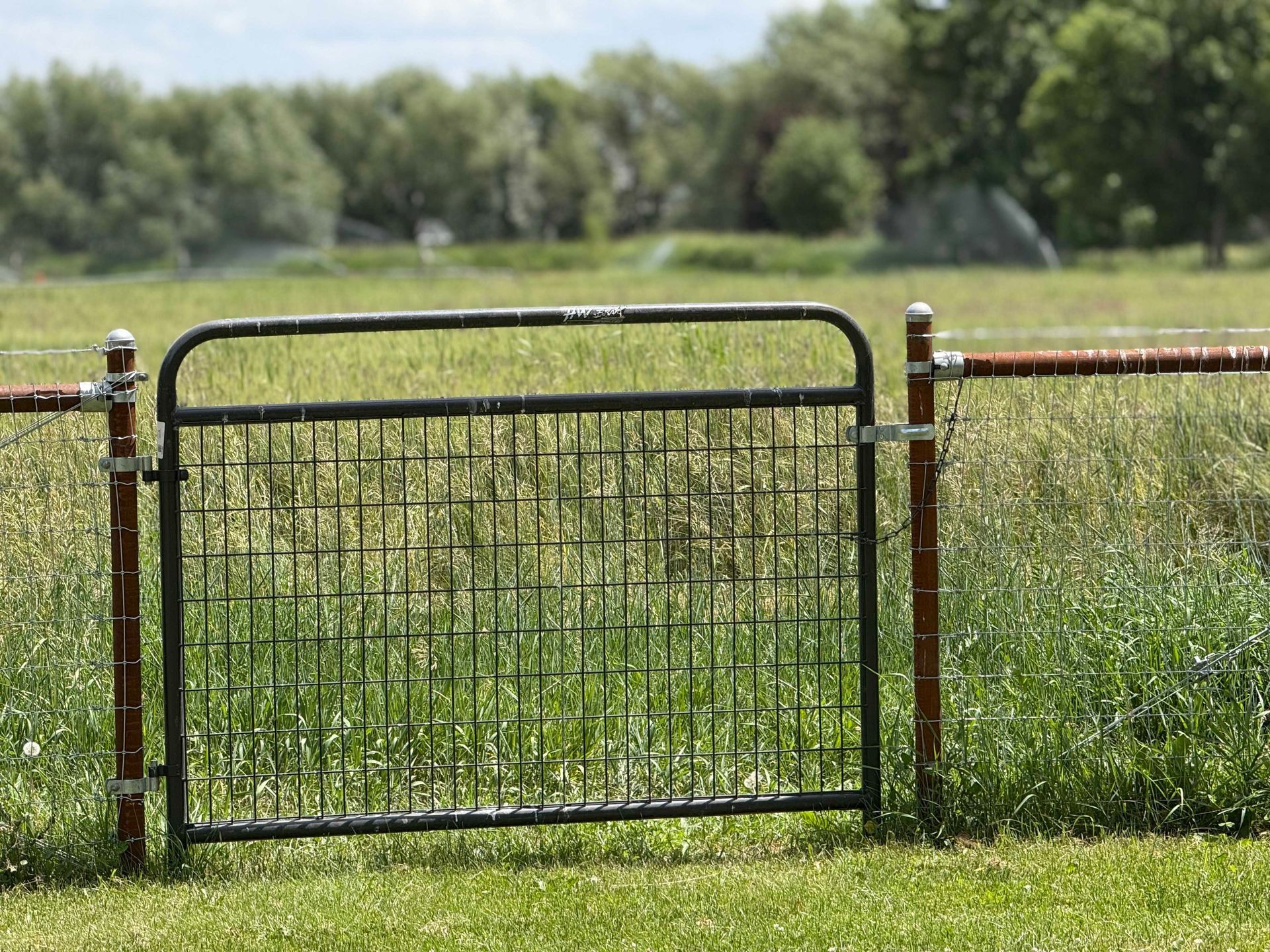 Black metal gate in a field with a brown fence and posts, green grass and trees in the background.