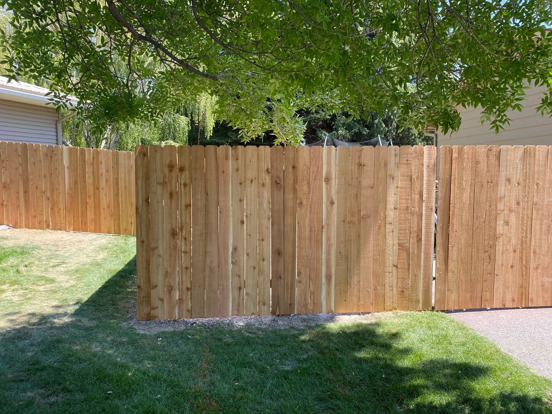 Wooden fence in a yard with grass, a tree overhead, and a sidewalk on the right.
