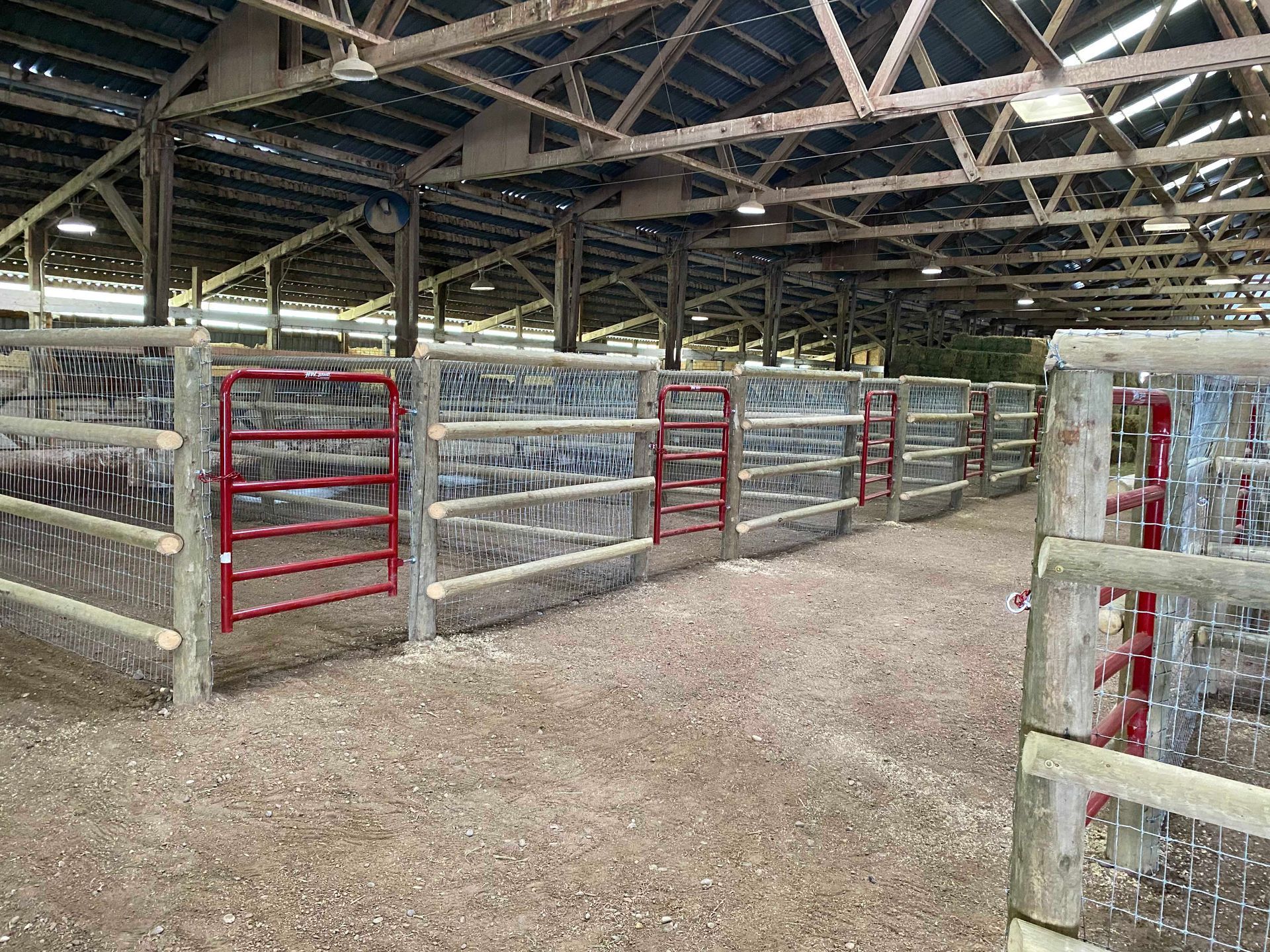 Rows of empty livestock stalls in a barn with red gates and wooden supports.