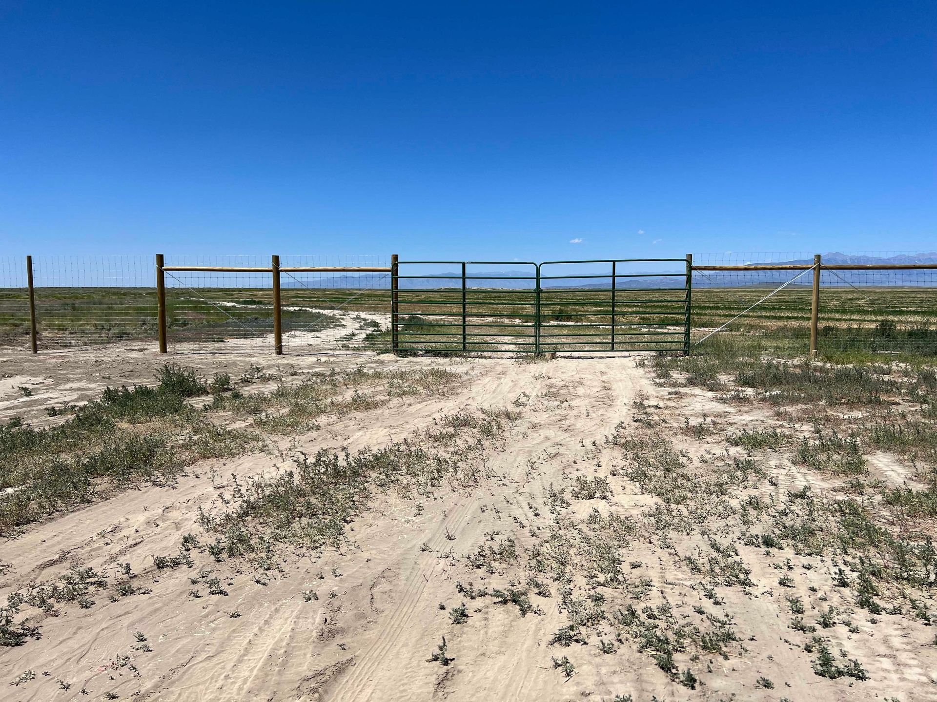 Dirt road leading to a green gate in a wire fence on a flat, grassy landscape under a blue sky.
