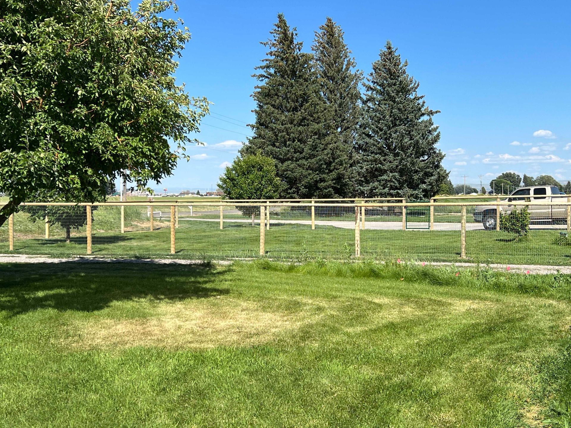 Wooden fence surrounds a grassy yard on a sunny day. Trees in the background.
