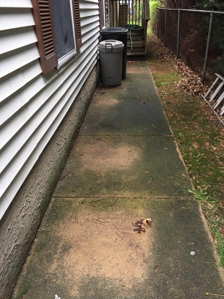 Before pressure washing service