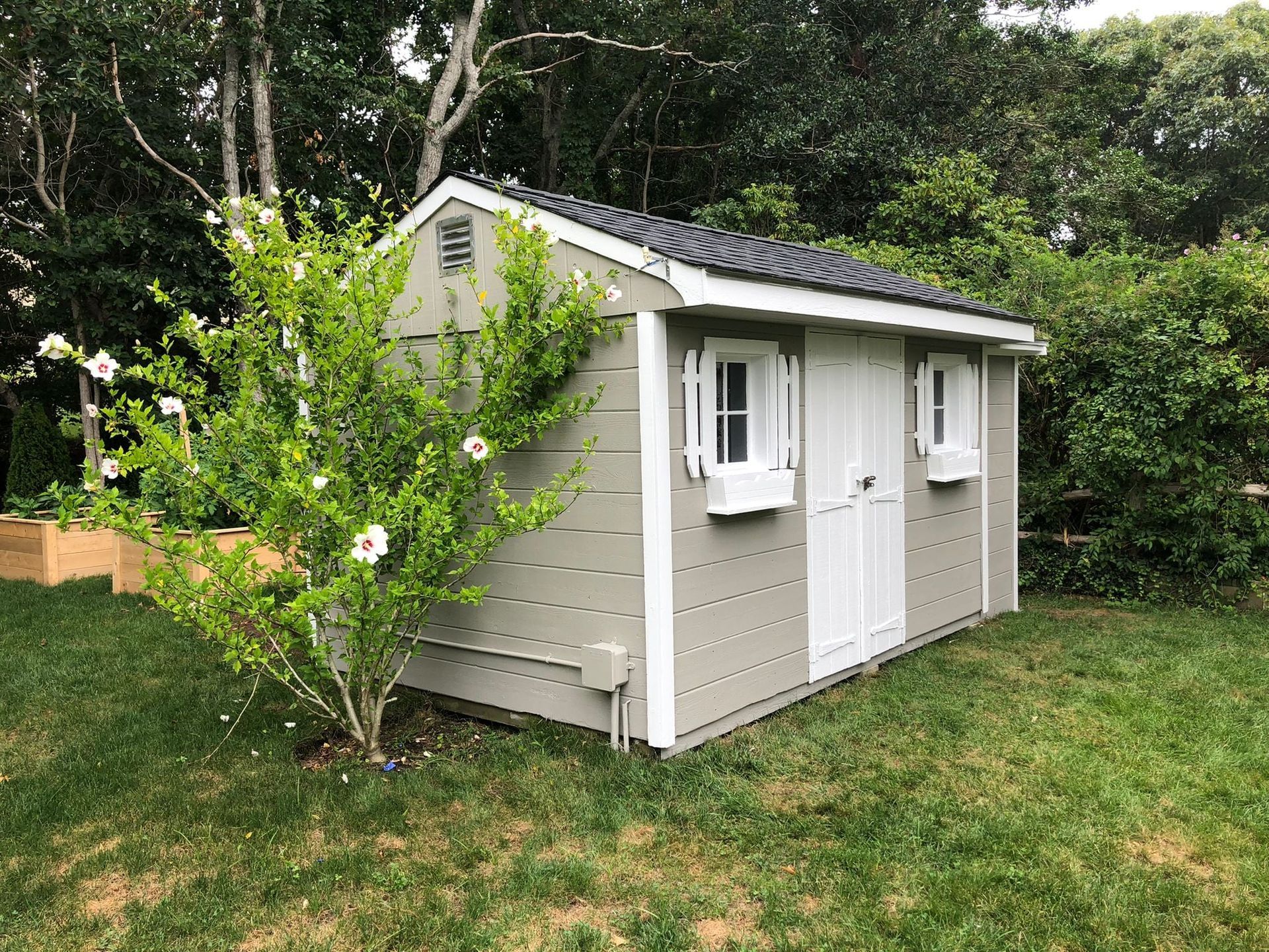 Gray shed with white trim, two small windows, and black roof, surrounded by greenery.