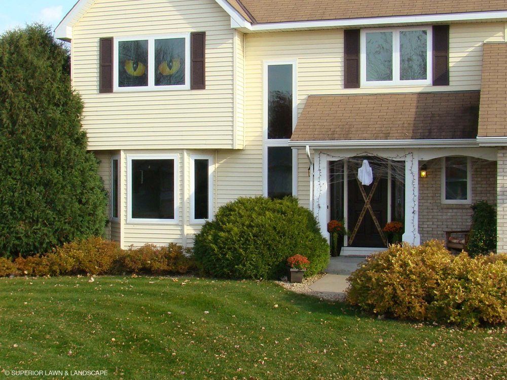 A house with a lot of windows and bushes in front of it