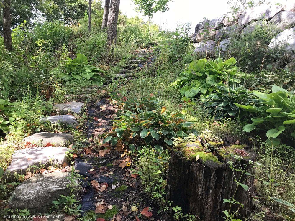 There are stairs going up a hill in the middle of a forest.
