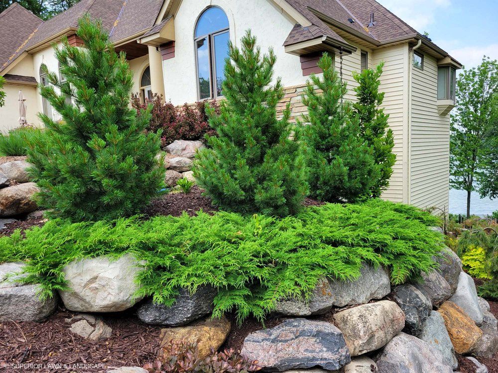 A house with a stone wall and trees in front of it.