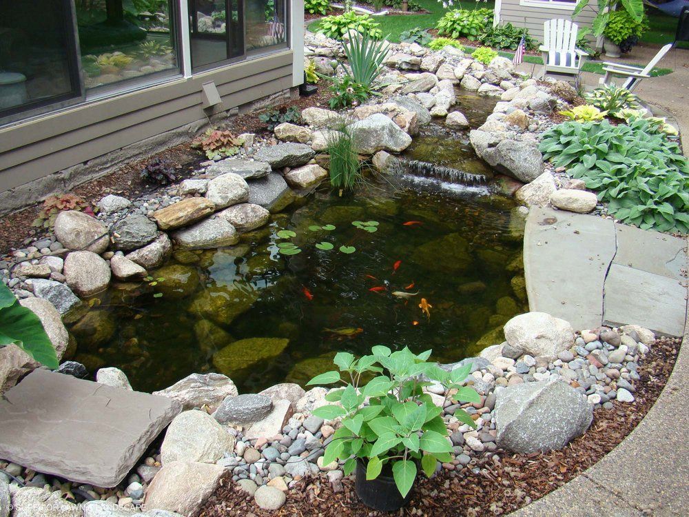 A pond surrounded by rocks and plants in a backyard