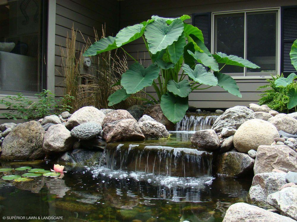 A pond with a waterfall in front of a house