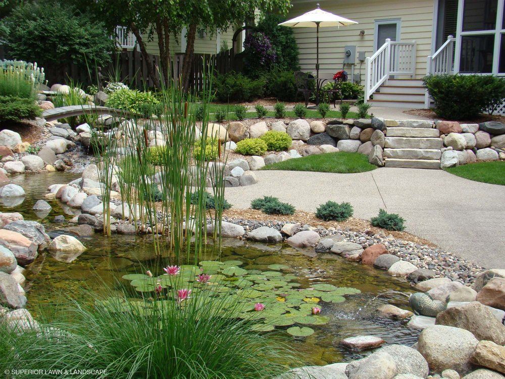 A pond with water lilies in front of a house
