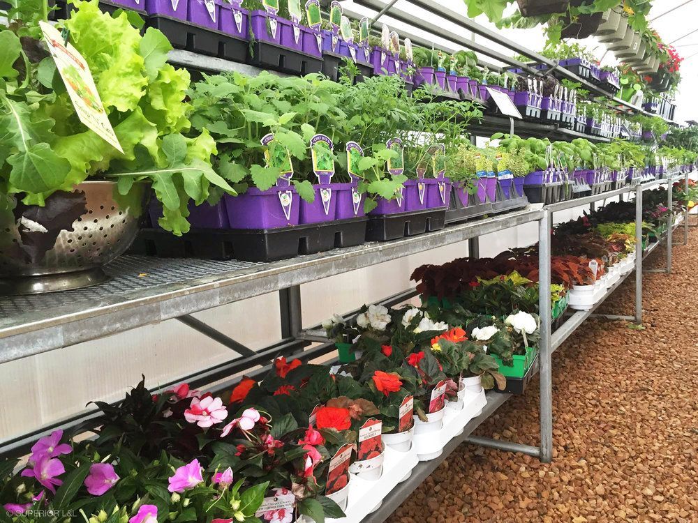A greenhouse filled with lots of potted plants and flowers