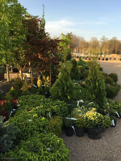 A lot of potted plants are sitting on the ground in a garden.