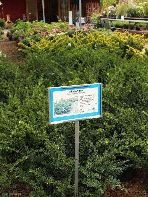 A sign in front of a bush with a picture on it