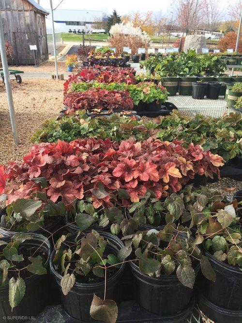 A bunch of potted plants are sitting on top of each other in a garden.
