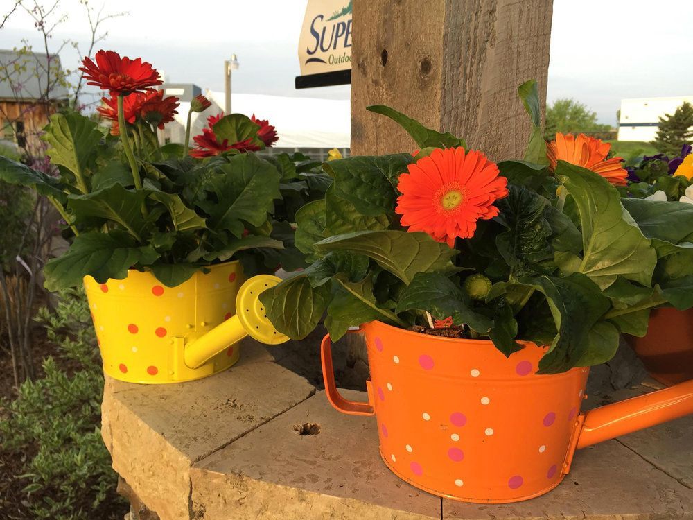 Two watering cans filled with flowers are sitting on a table.