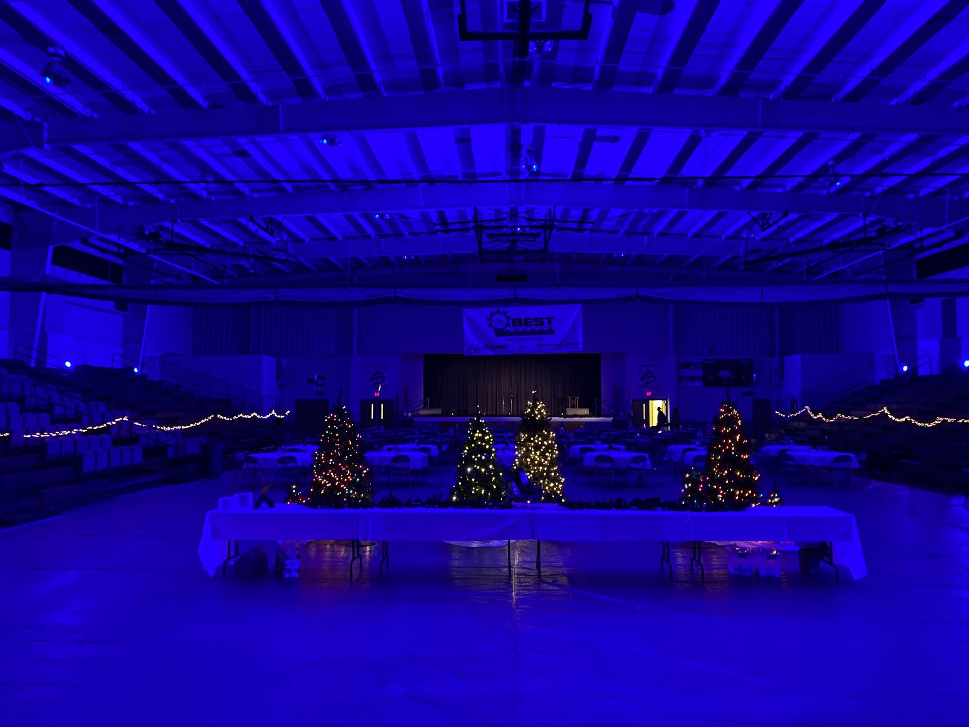 Holiday lights and decorations