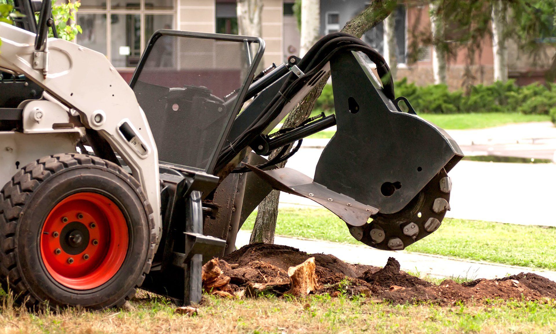 Stump Grinding