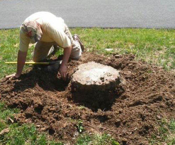 Stump Removal