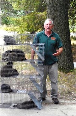 a man in a green shirt is standing next to a cage full of cats .