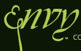 Envy