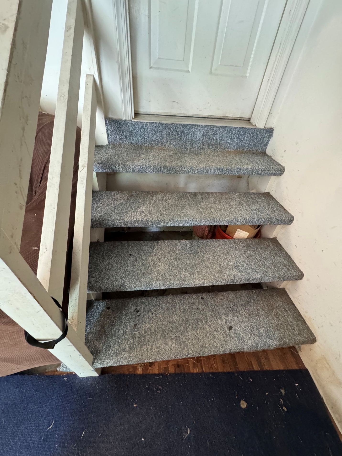 Narrow carpeted staircase leading to a white door, with a blue floor mat at the bottom.