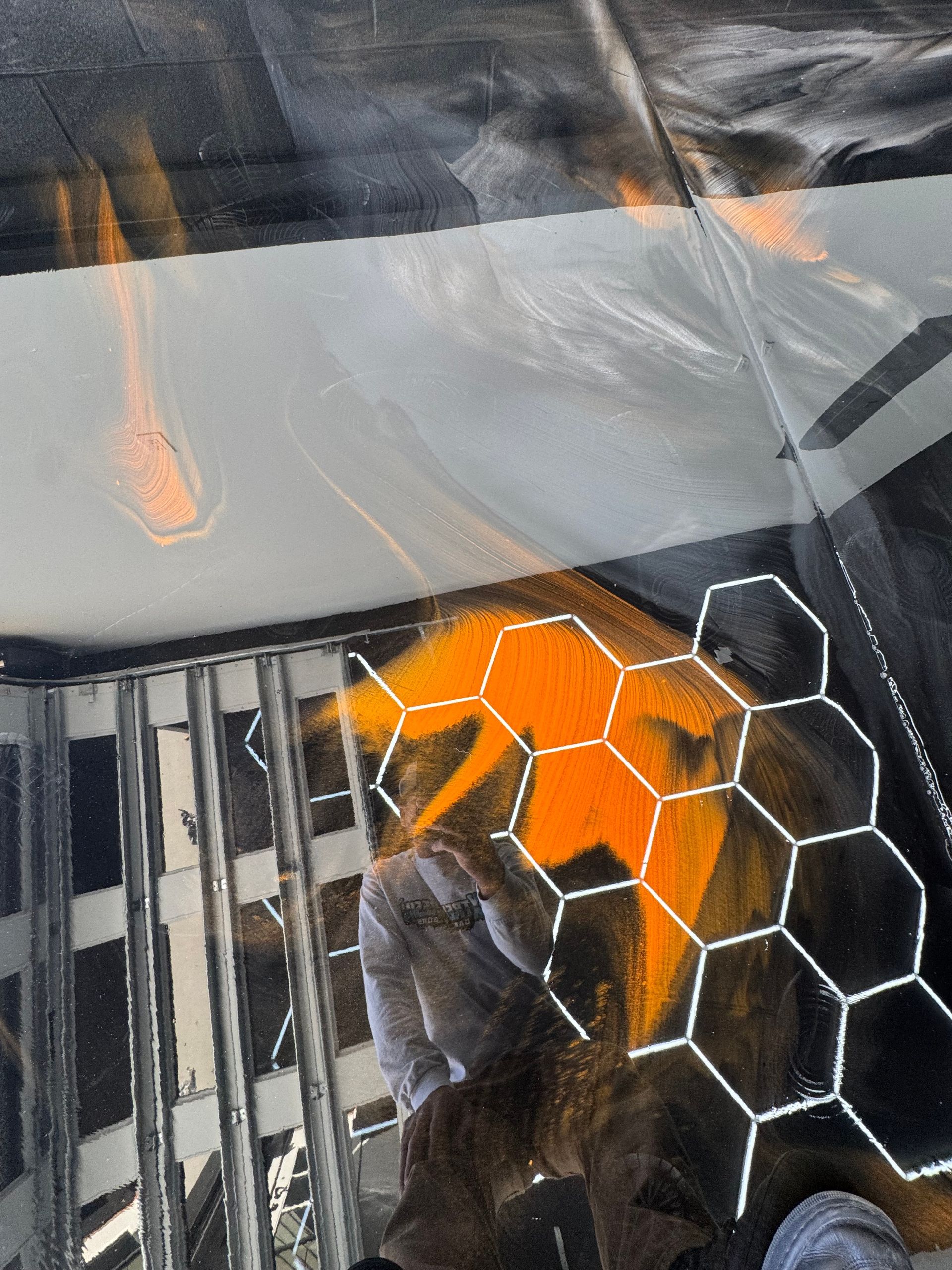Orange fish behind hexagonal glass, partially obscured by reflections and dark vertical bars