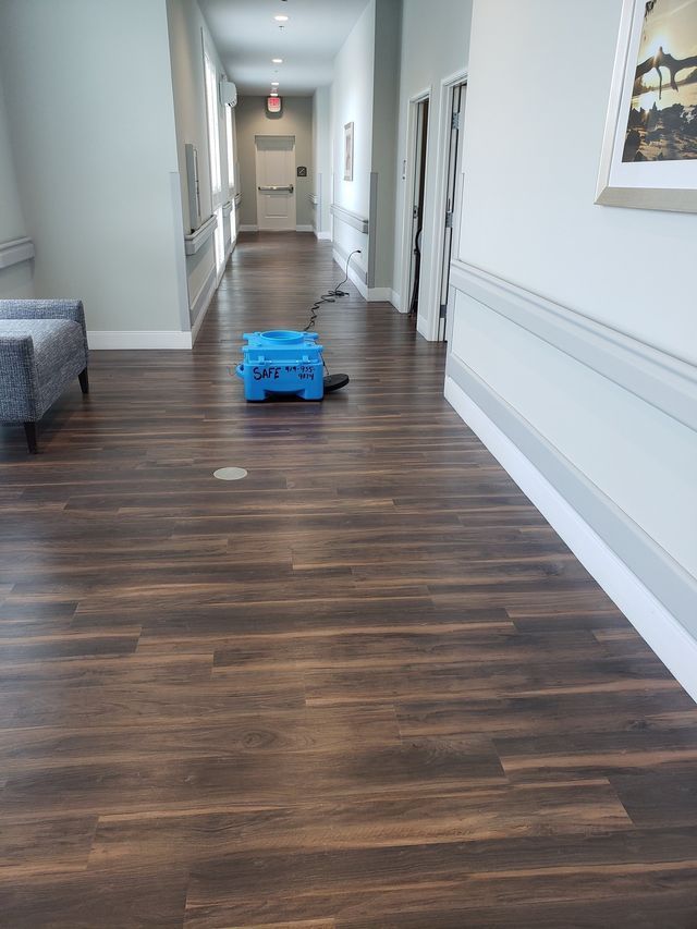 Water damage mitigation