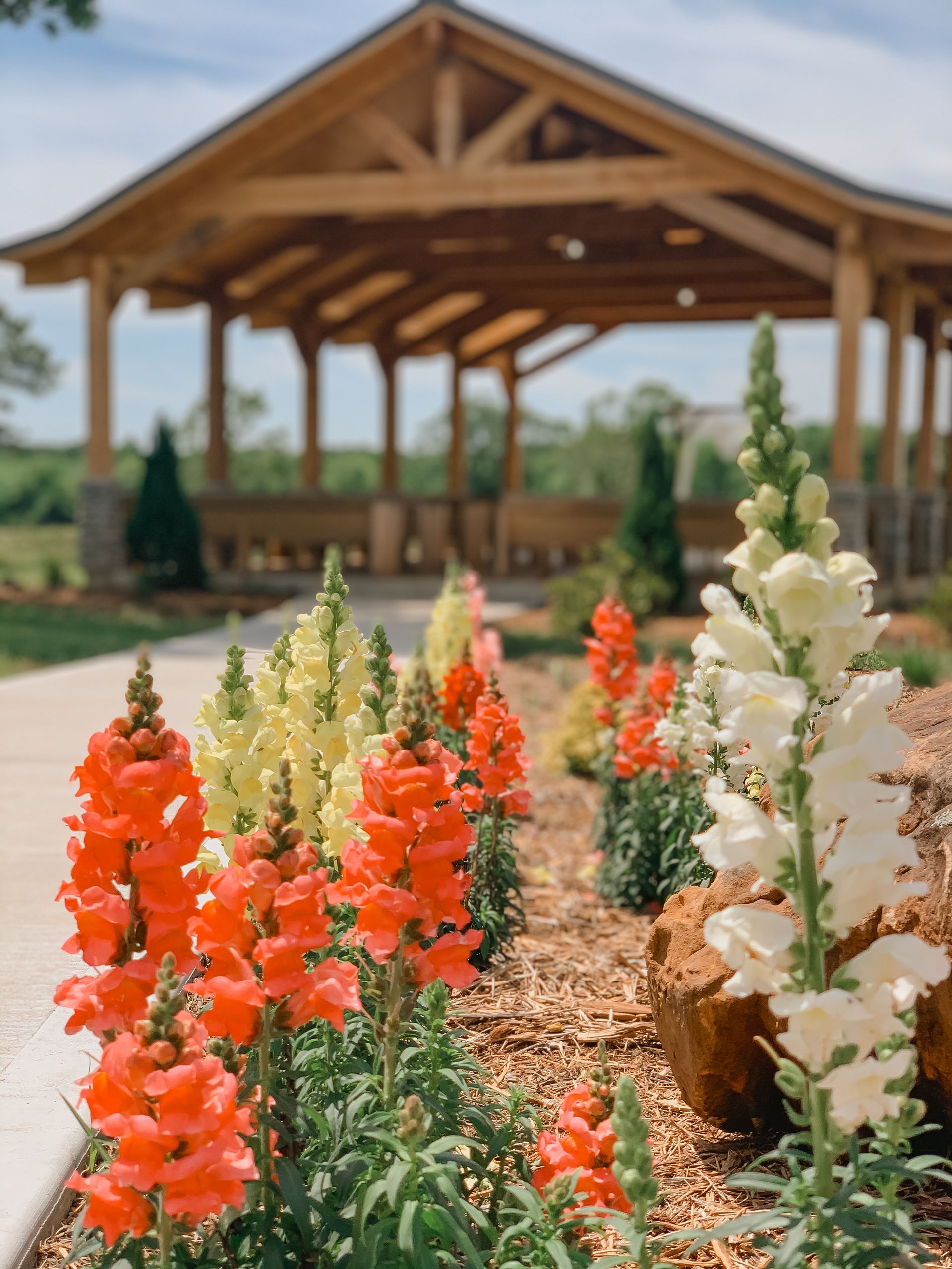 Colorful flowers blooming in front of a wooden pavilion in a sunny garden