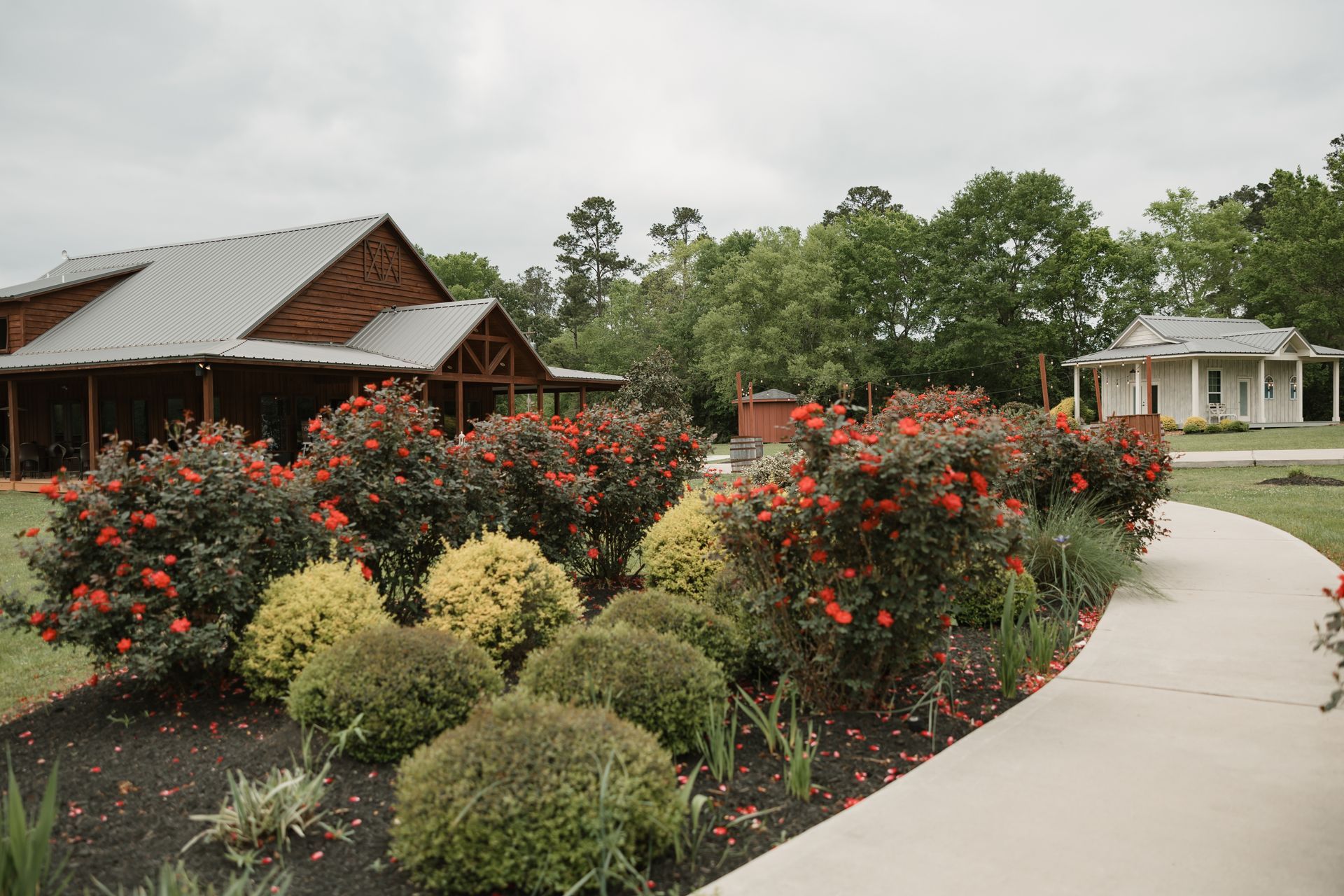 Curved garden path with red-flowering shrubs, trimmed bushes, and cabins under an overcast sky