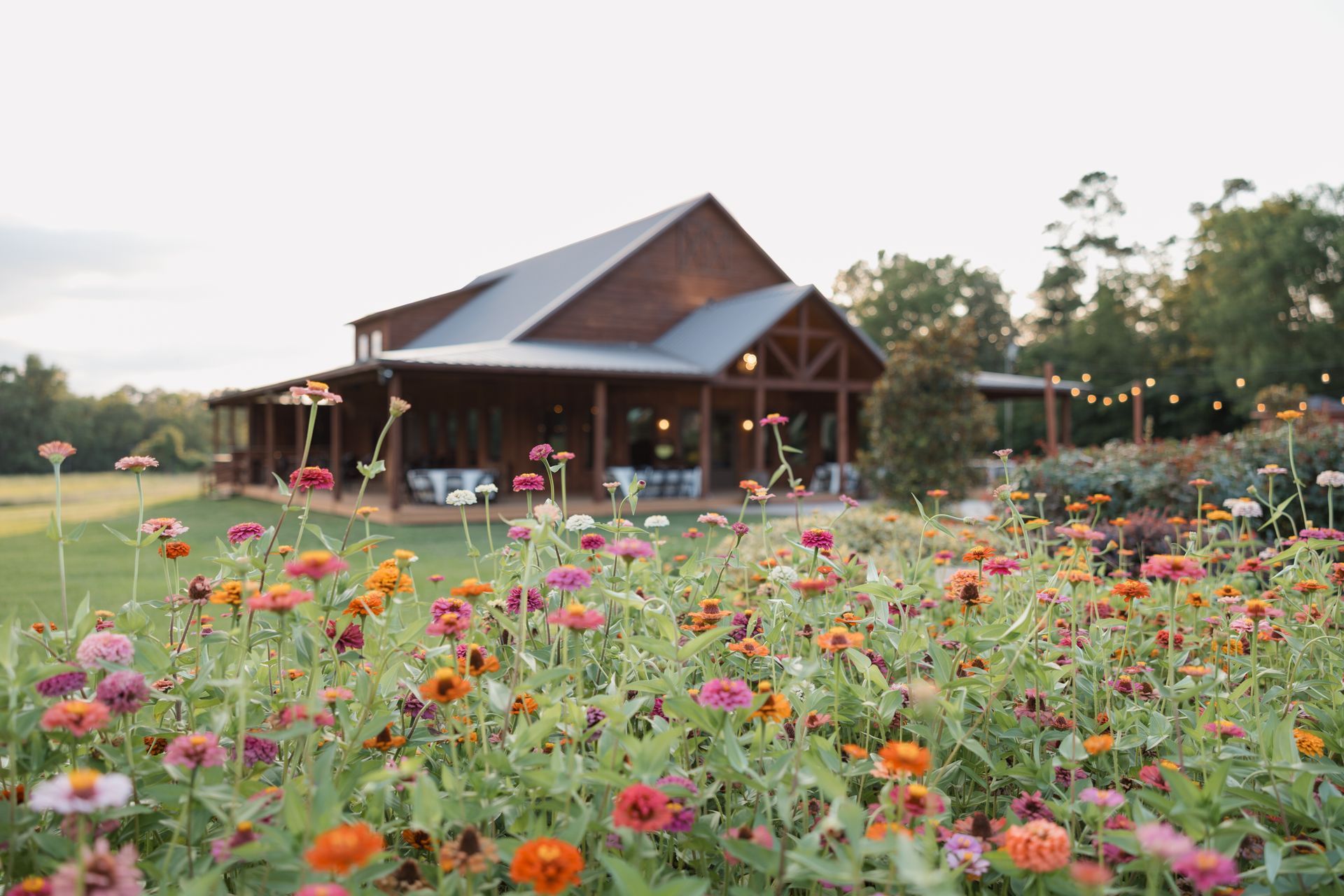 Wildflower garden in bloom in front of a rustic wooden lodge at sunset