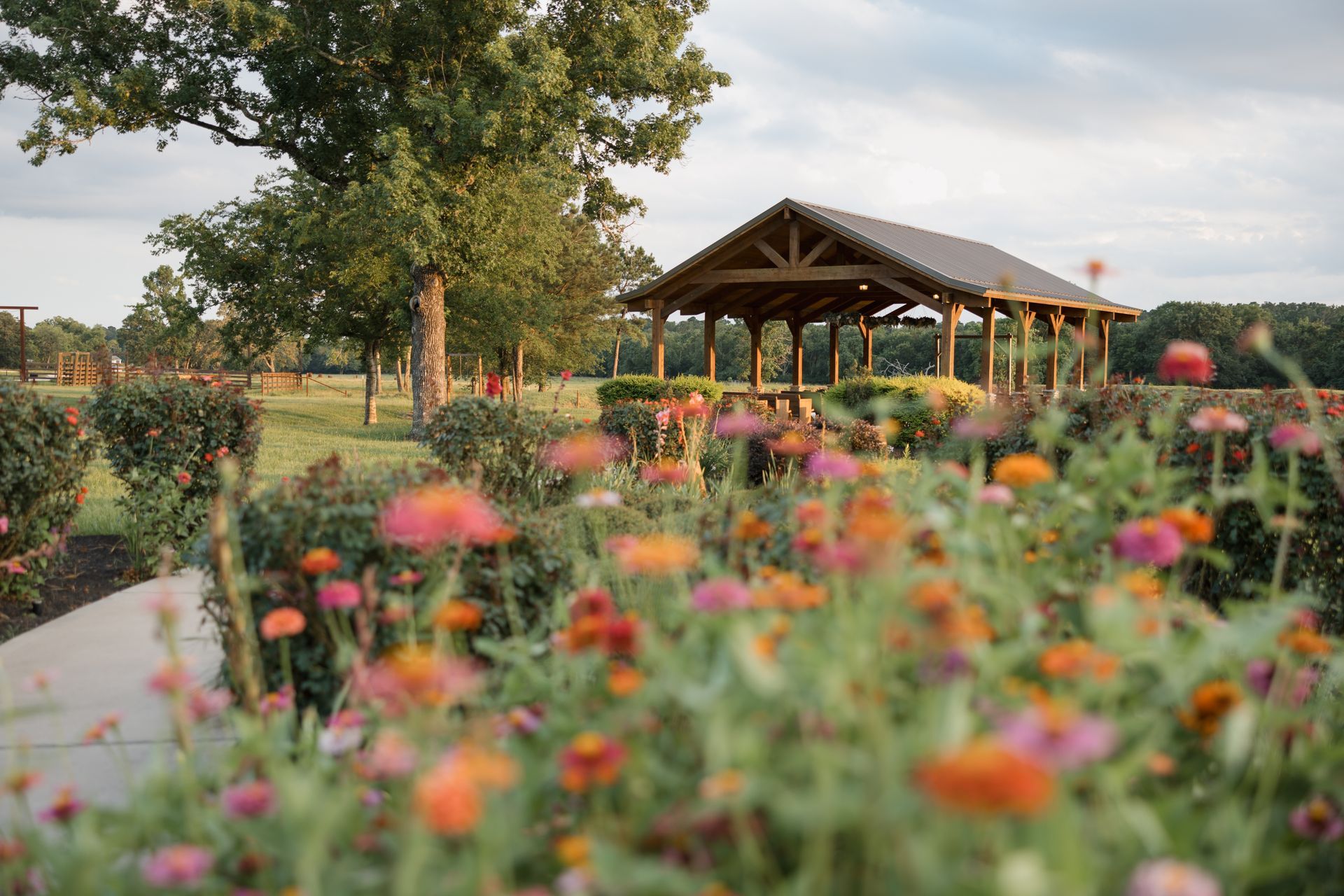Flower garden with pink and orange blooms, a wooden pavilion, and a tree-lined path at sunset