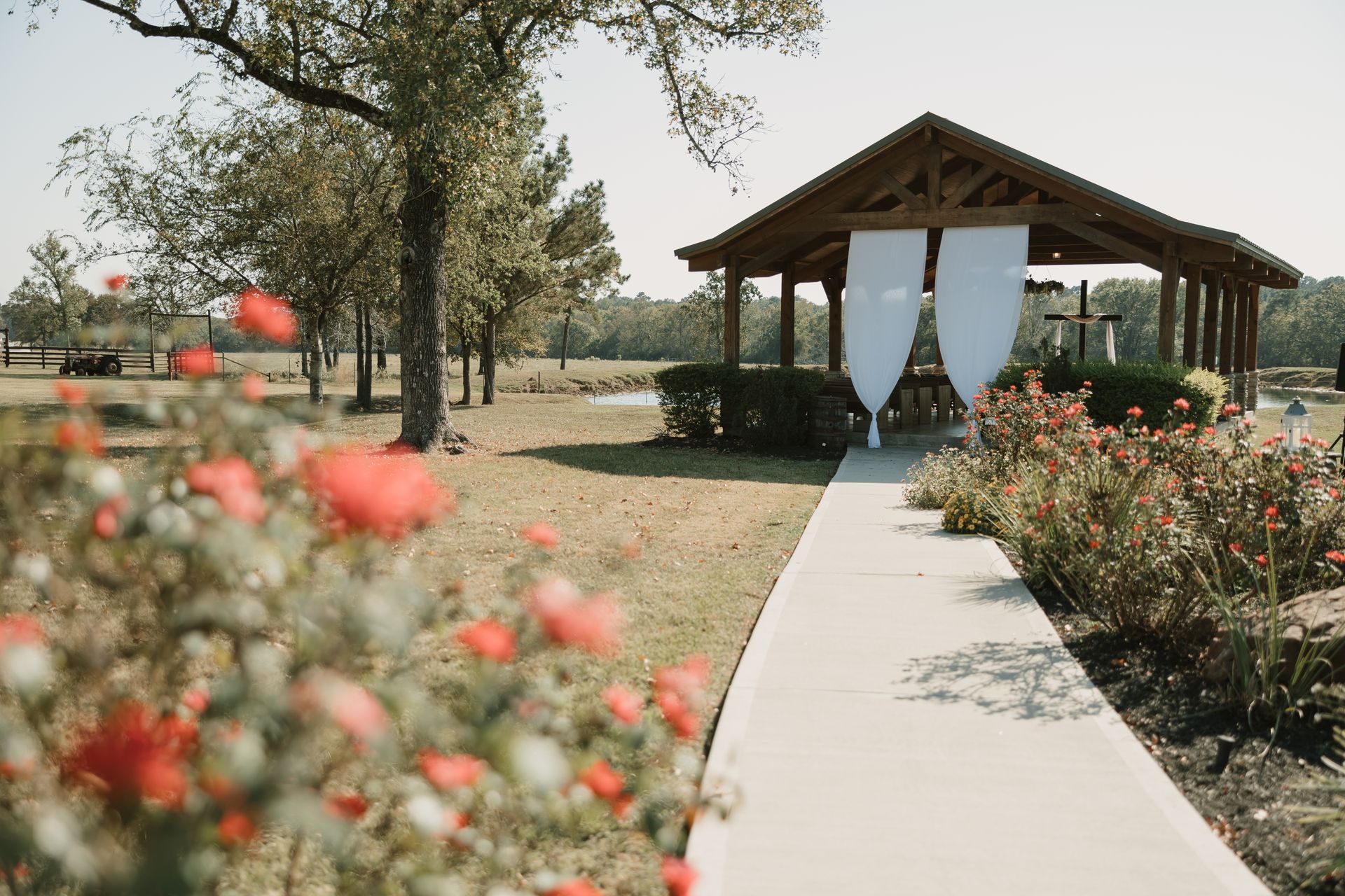 Garden path leading to a gazebo with white drapes, bordered by blooming roses on a sunny day