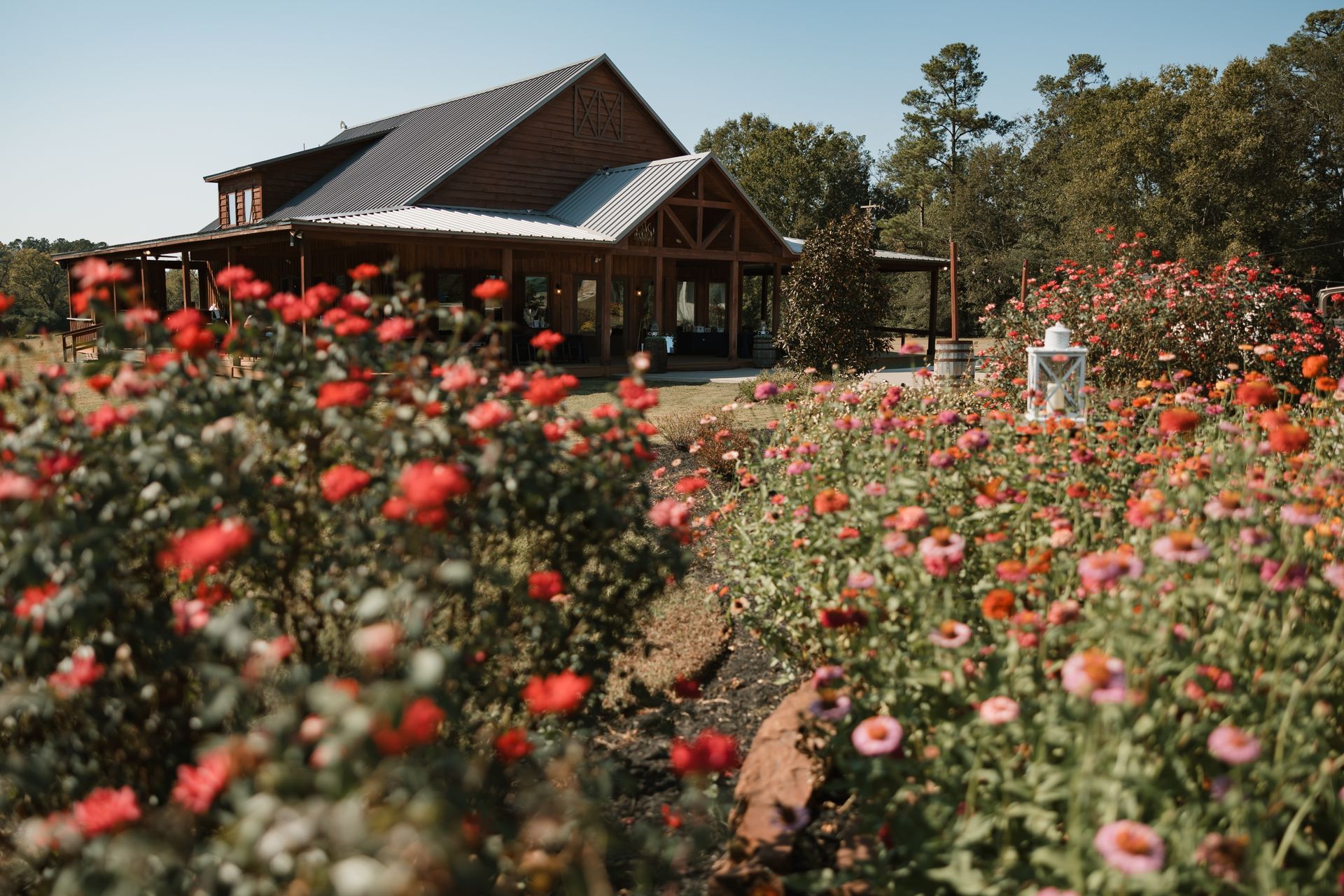 Rustic cabin beside a colorful wildflower field under a clear sky