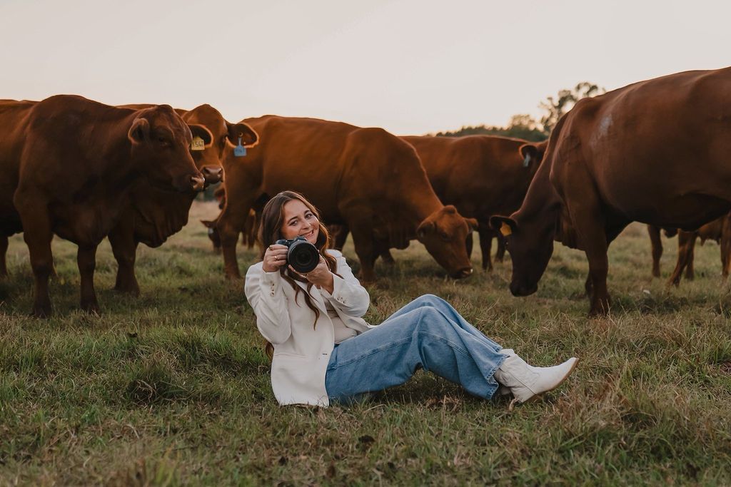 Woman sitting in grass with a camera, surrounded by brown cows at sunset