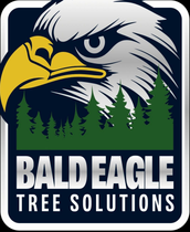 Bald Eagle Tree Solutions logo: Bald eagle head over evergreen trees; company name in silver text.