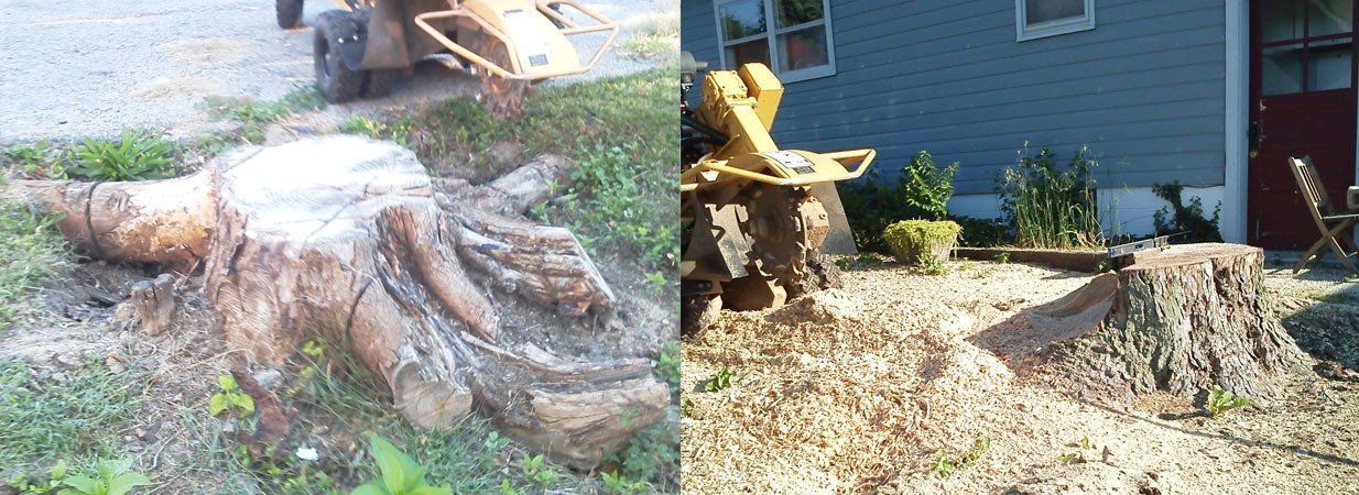 TC Stump Removal