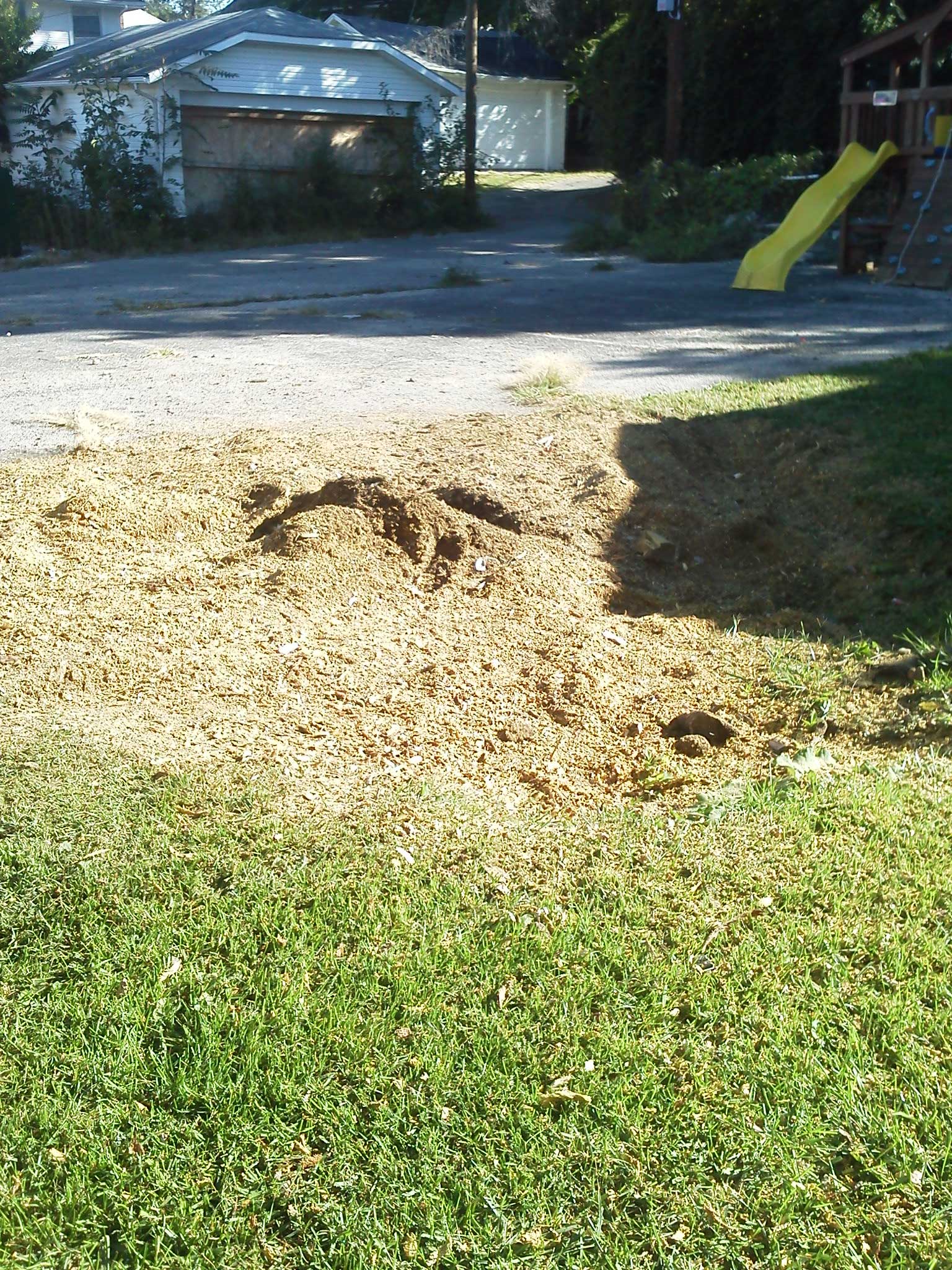 TC Stump Removal