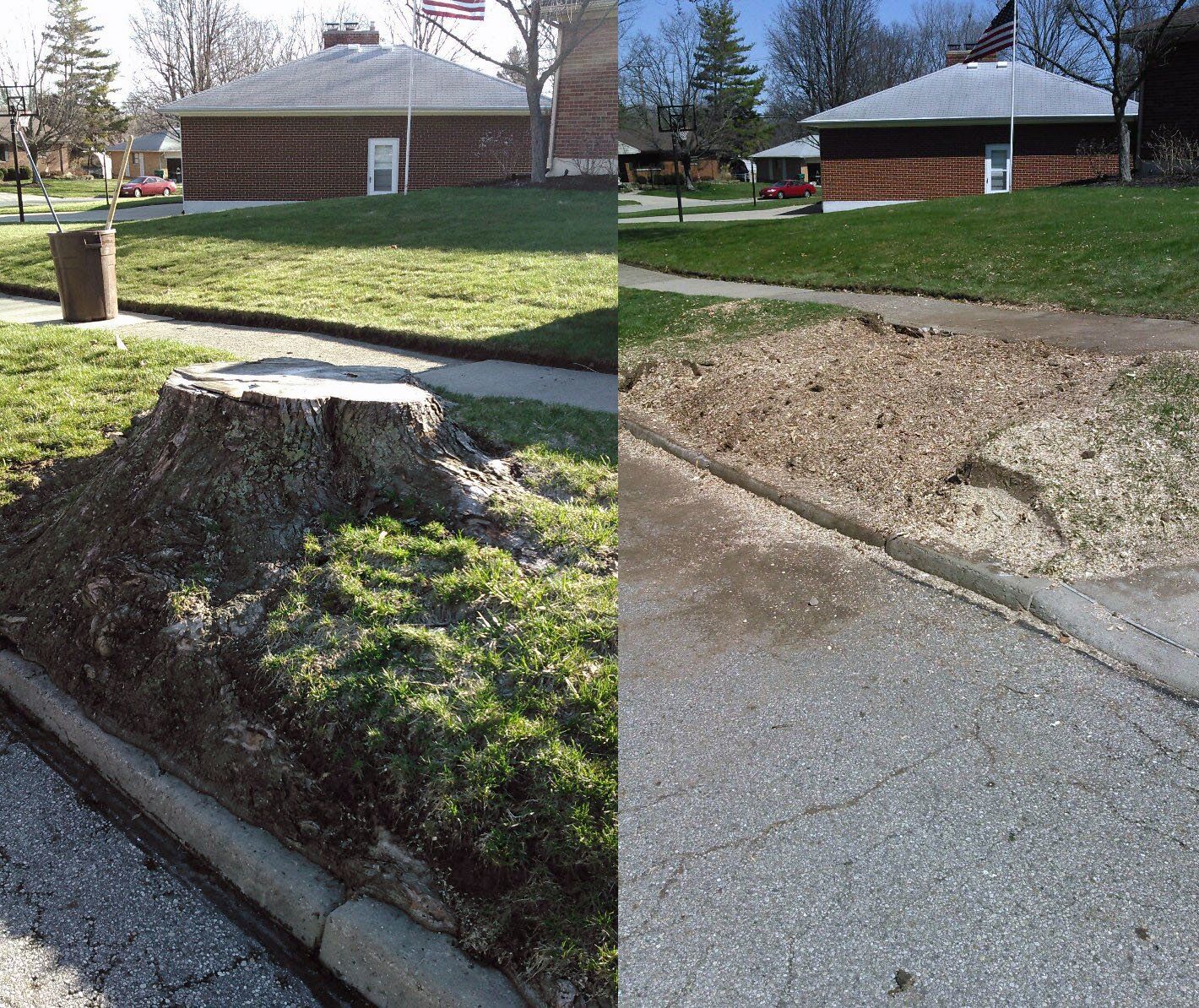 TC Stump Removal
