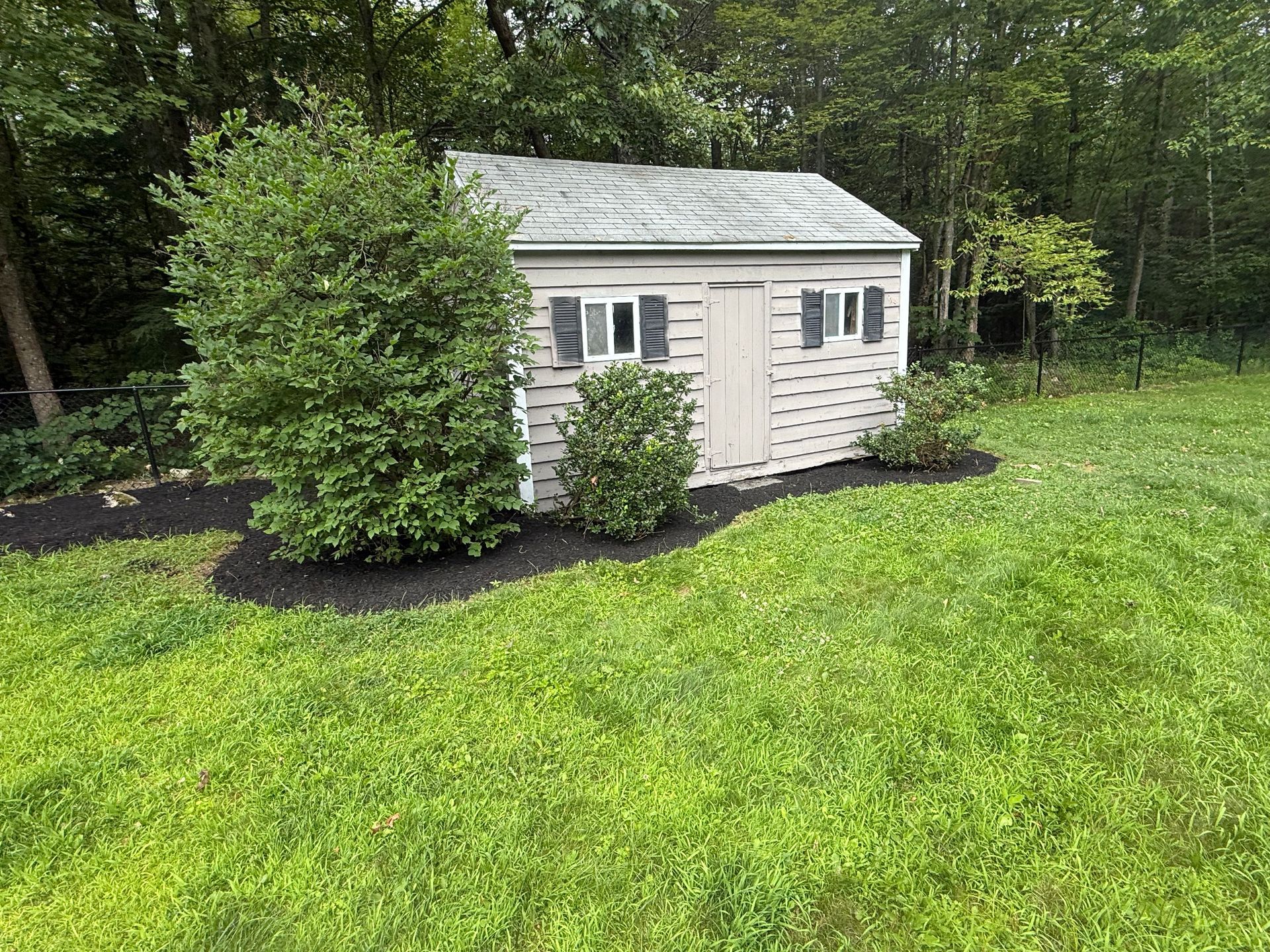 Small white shed in a grassy backyard, surrounded by shrubs and trees.