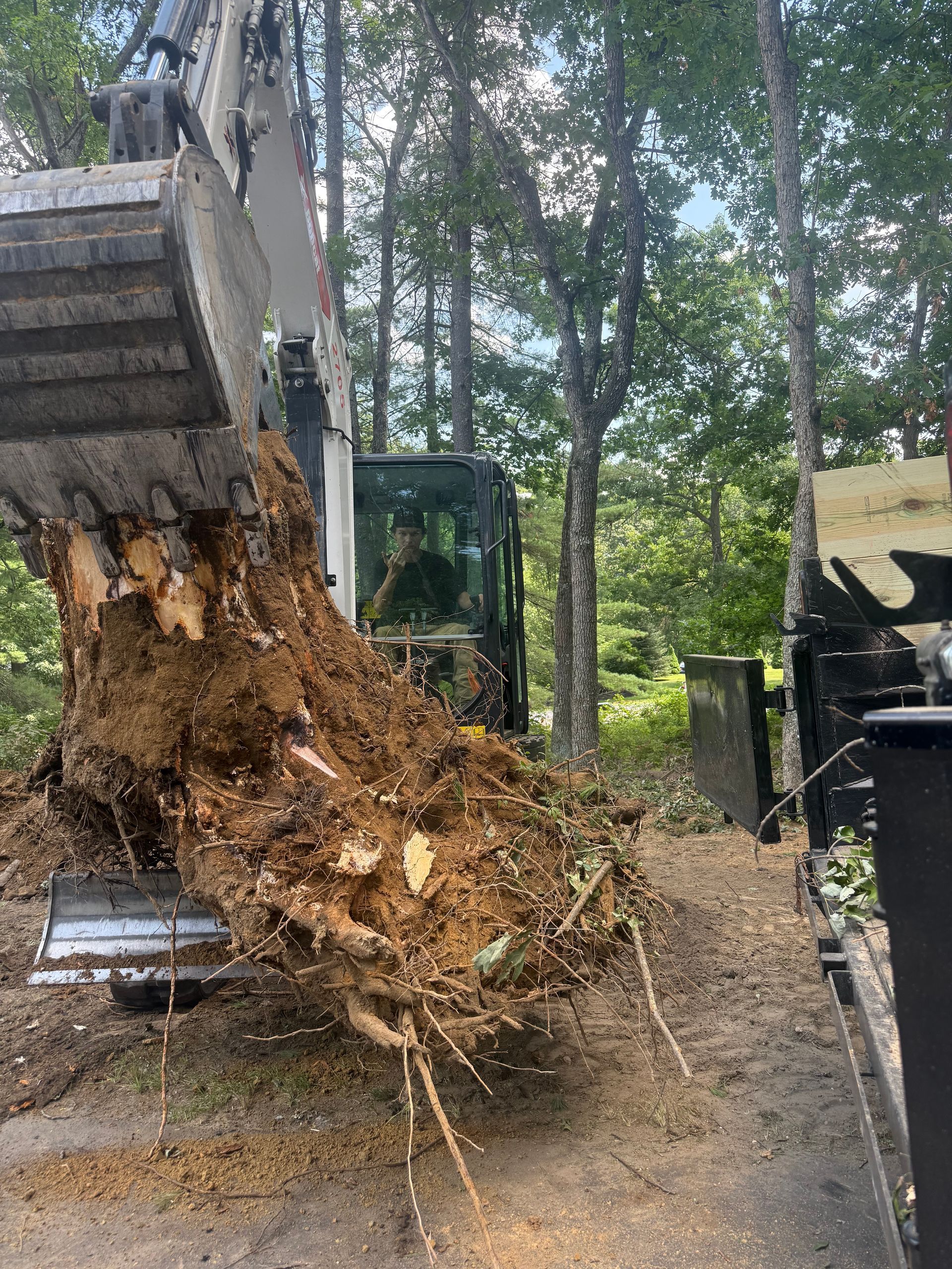 Excavator lifting a large tree stump with roots in a wooded outdoor area