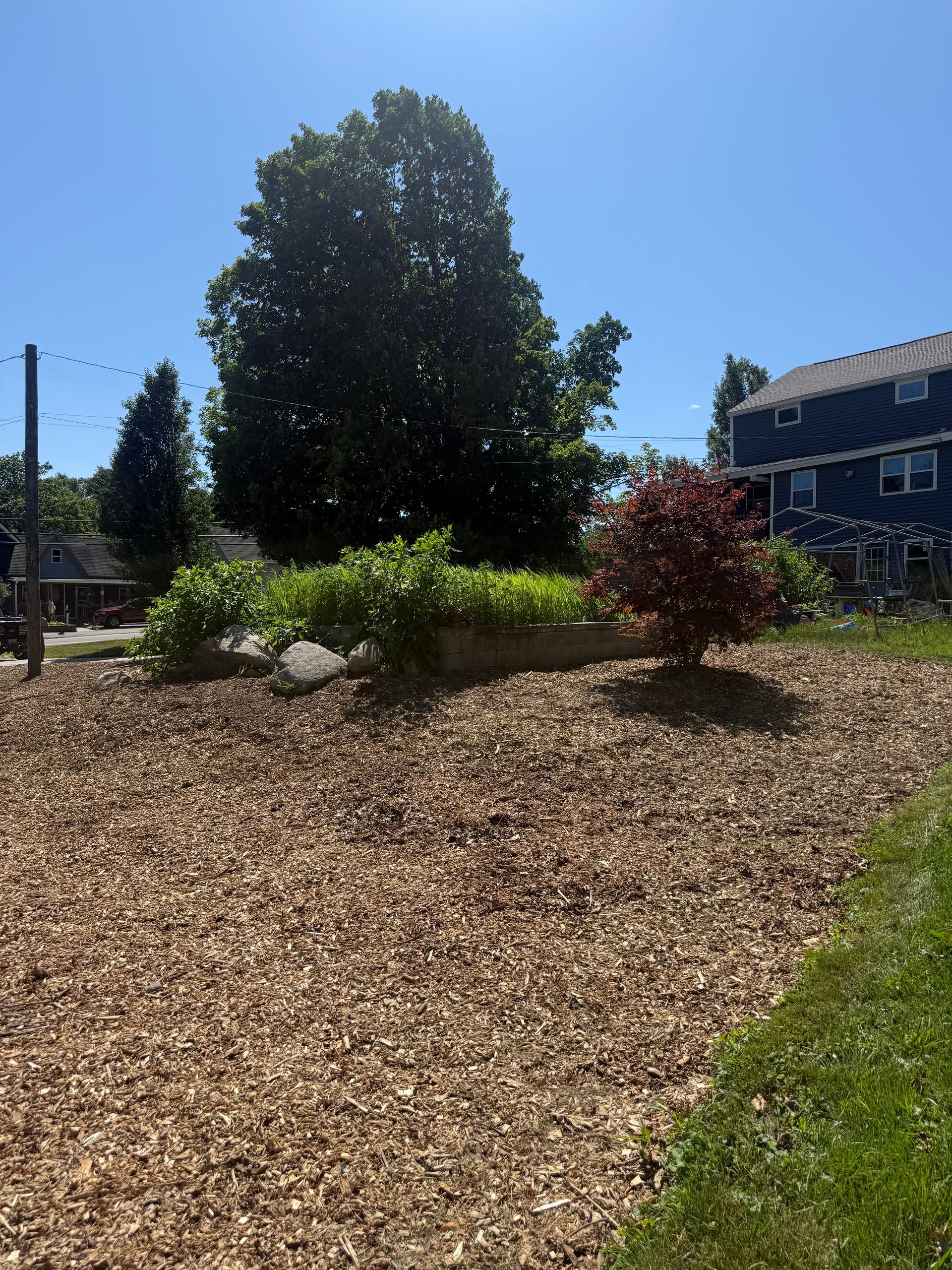 Mulched garden bed with shrubs and rocks in a sunny yard beside a house