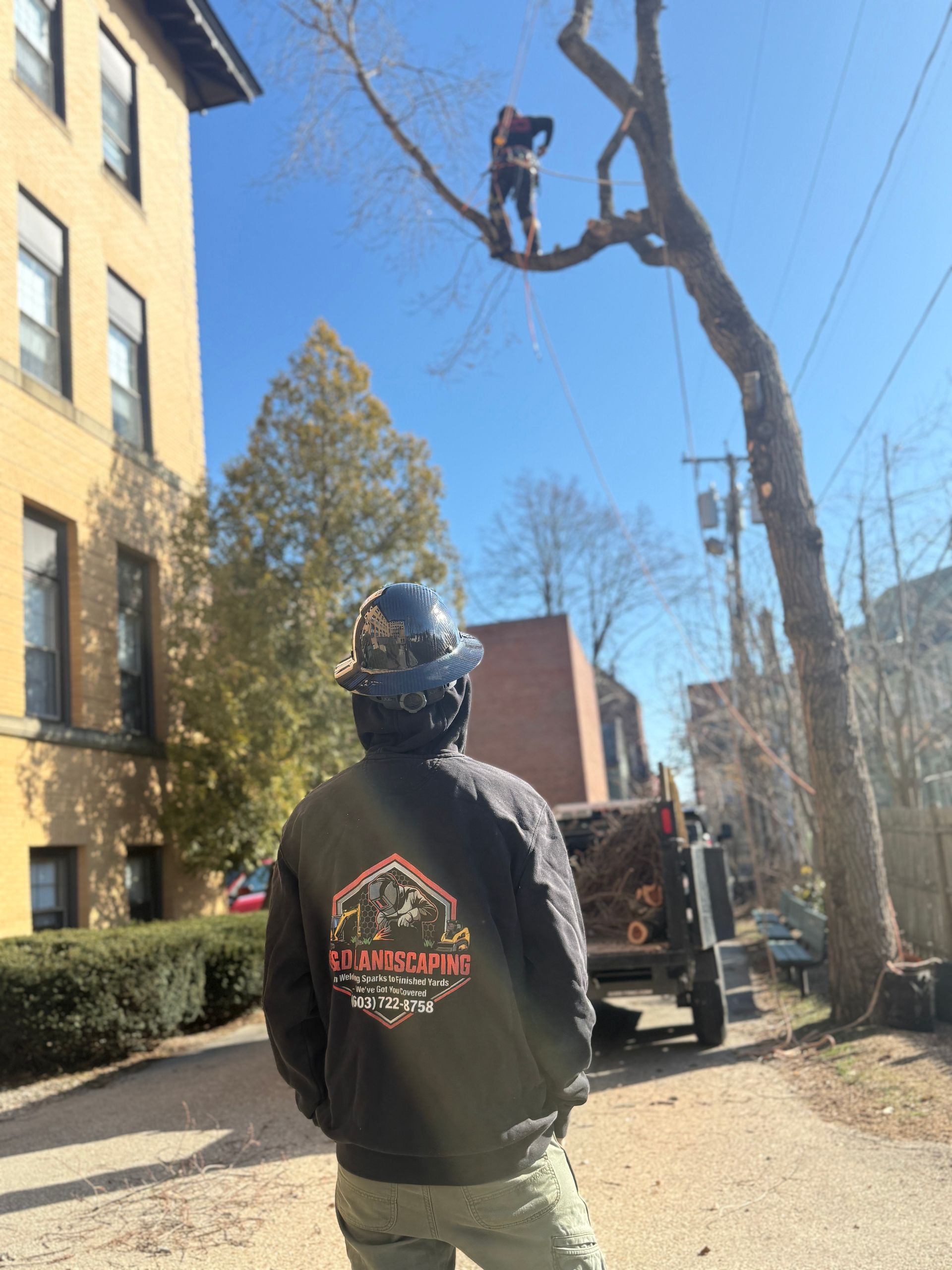 Worker on a truck lift trimming a leafless tree beside a building on a sunny day