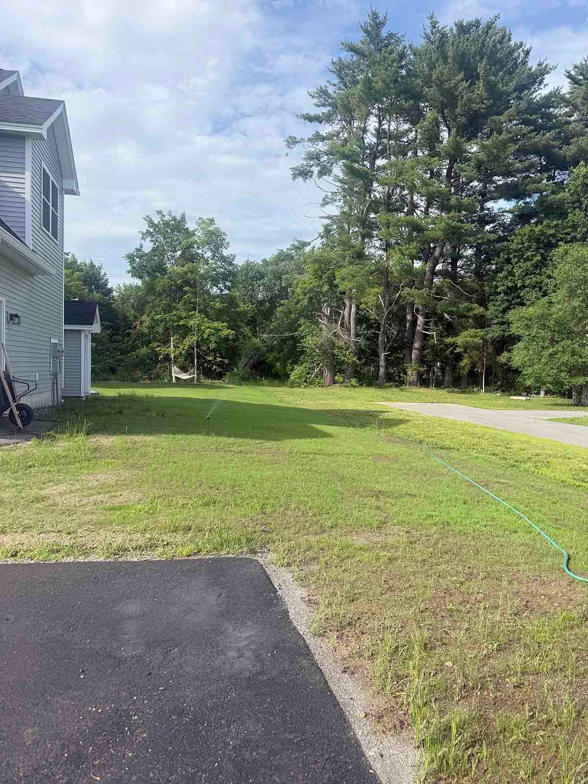 Backyard lawn beside a house, with trees and a curved driveway under a partly cloudy sky