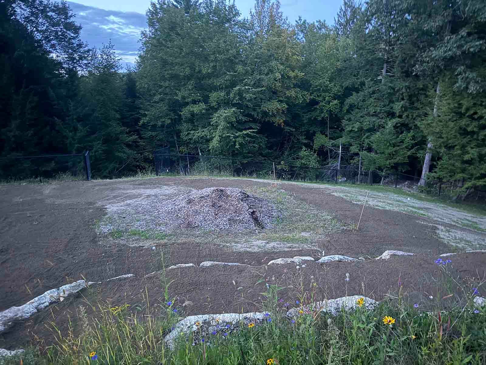 Rocky dirt clearing with a circular mound, bordered by trees and wildflowers under a cloudy sky